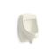 Dexter™ Washout half-stall 0.125 gpf urinal, rear spud