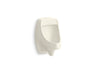 Dexter™ Washout half-stall 0.125 gpf urinal, rear spud