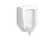 Stanwell™ Blow-out half-stall 0.5–1.0 gpf urinal, rear spud