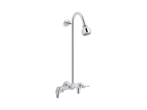 Triton® Bowe® Industrial exposed shower