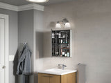 Maxstow® 15" W x 24" H medicine cabinet