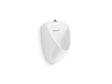 Tend® Contemporary washout urinal with top spud