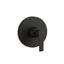 Avid® Rite-Temp® valve trim with lever handle